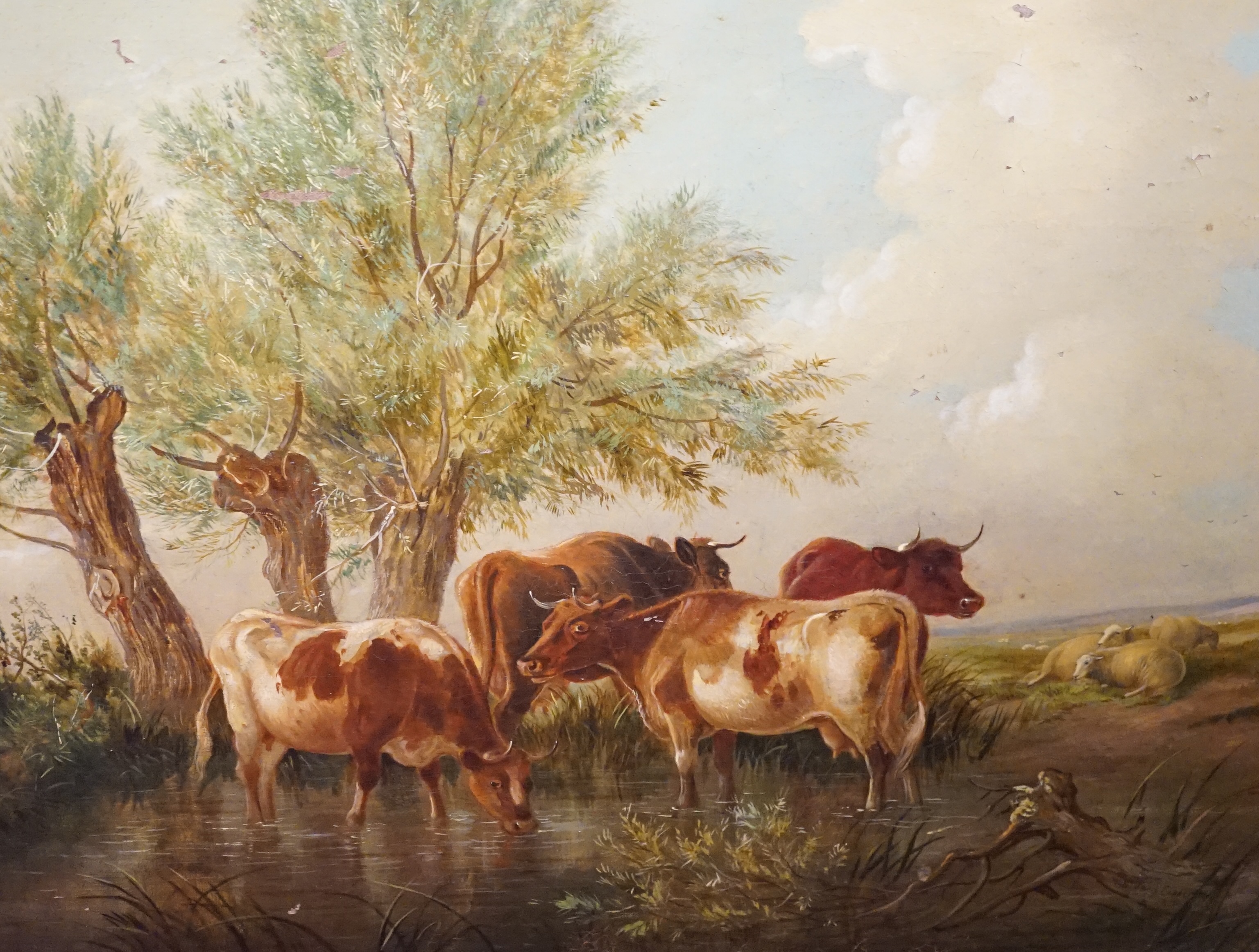 Manner of Thomas Sidney Cooper (1803-1902), oil on canvas, Cattle watering, bears signature and date, 49 x 59cm. Condition - poor